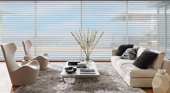 Silhouette® Window Shadings