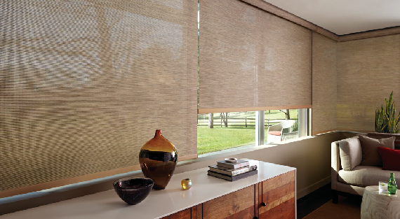 Designer Roller Shades