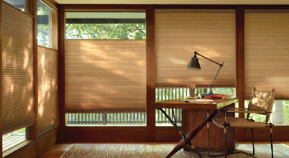 Duette® Honeycomb Cellular Shades
