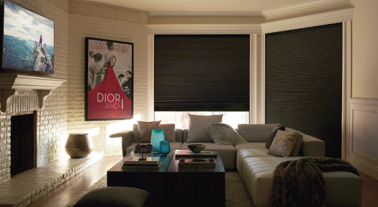 Hunter Douglas blinds and shades