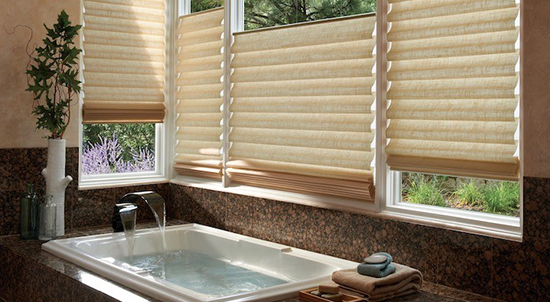 Bathroom window shades