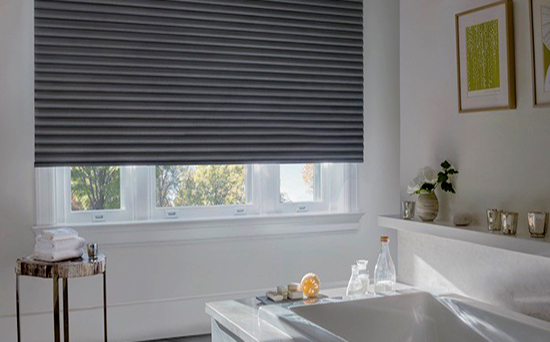 Bathroom window coverings