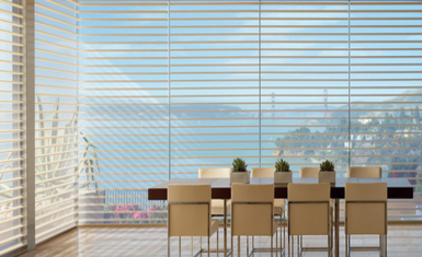 Silhouette® Window Shadings