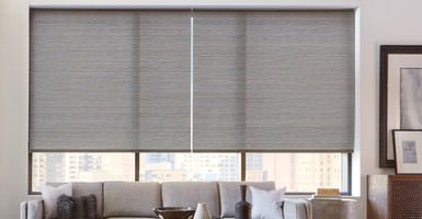 Designer Screen Shades